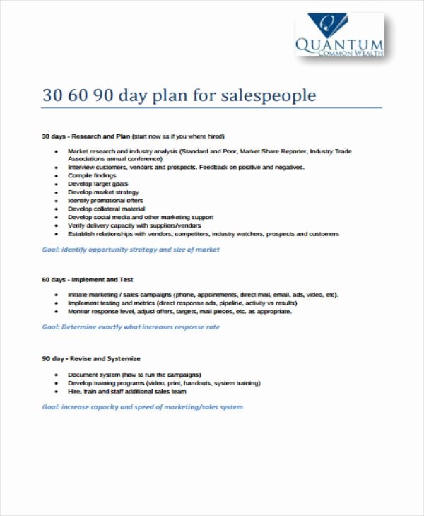 30 60 90 Day Sales Plan Template Free Luxury 11 30 60 90 Sales Plan Templates Pdf Word