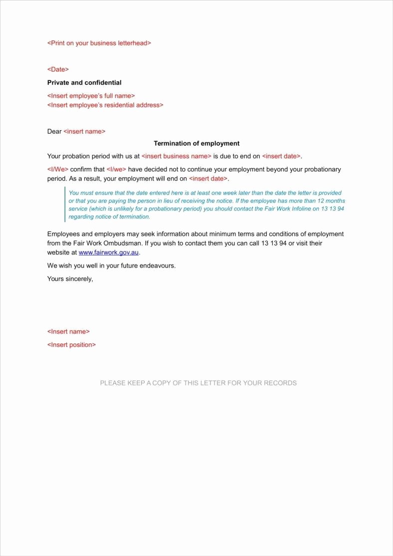 90 Day Probation Period Letter Beautiful Employee Probation Period form