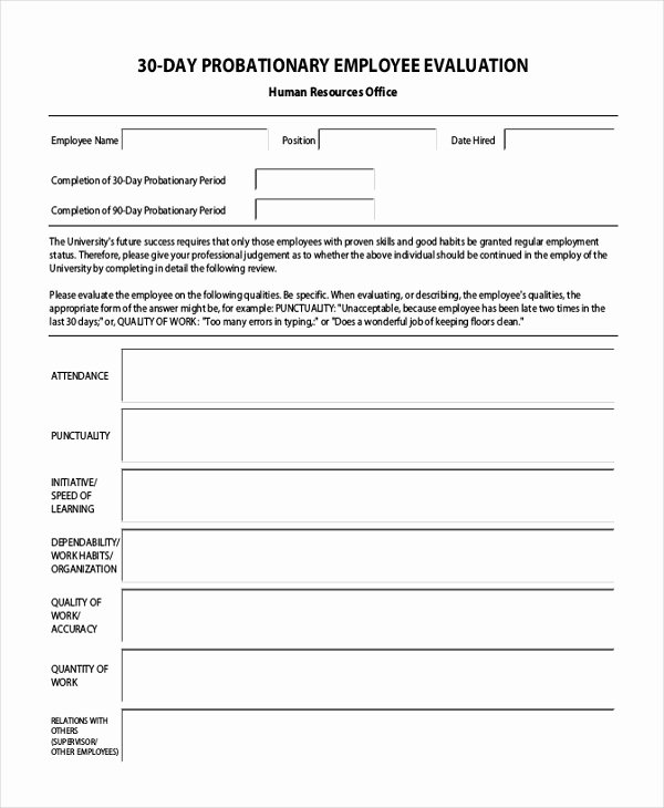 90 Day Probationary Period form Beautiful Sample Employee Evaluation form 11 Free Documents In Pdf