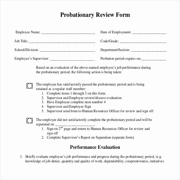 90 Day Probationary Period form Best Of Free 13 Sample Employee Review forms