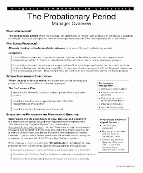 90 Day Probationary Period Offer Letter Beautiful 30 Day Probationary Period Template