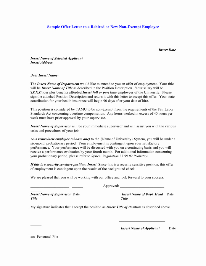90 Day Employment Probationary Period Template