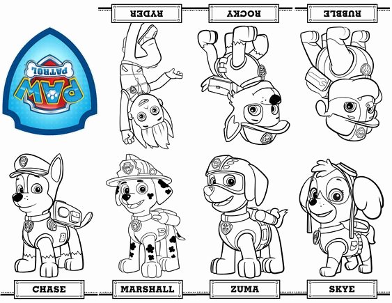 Aa Sign In Sheet for Probation Awesome Free Printable Mini Paw Patrol Coloring Book From A Single