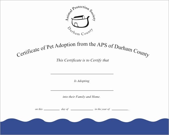 Adopt A Pet Certificate Template Inspirational 26 Sample Adoption Certificates In Illustrator