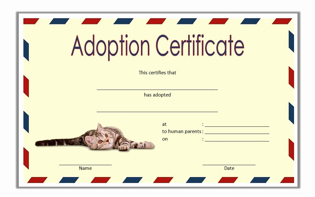 Adoption Certificate Template Word Beautiful Pet Adoption Certificate Editable Templates