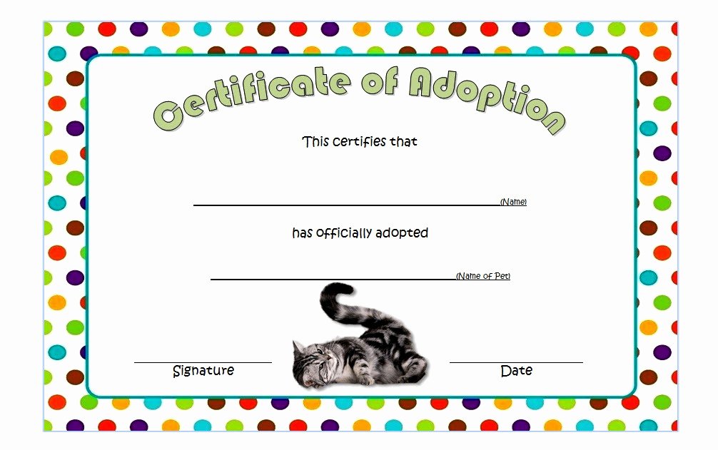 cat adoption certificate templates