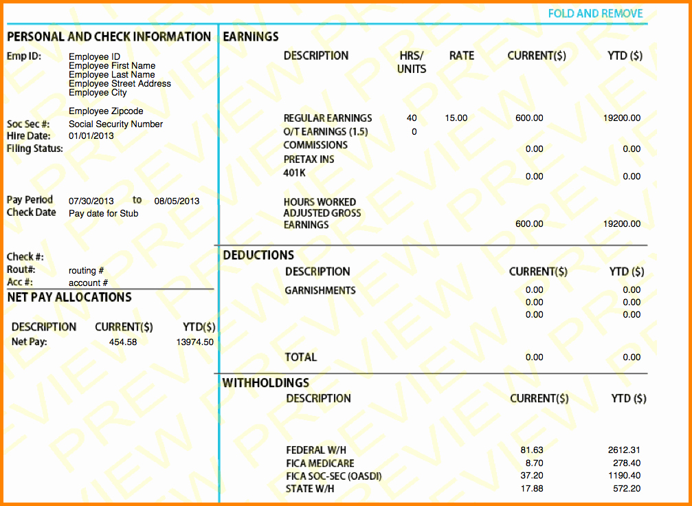 20 Aerotek Employee Pay Stubs Dannybarrantes Template Gambaran