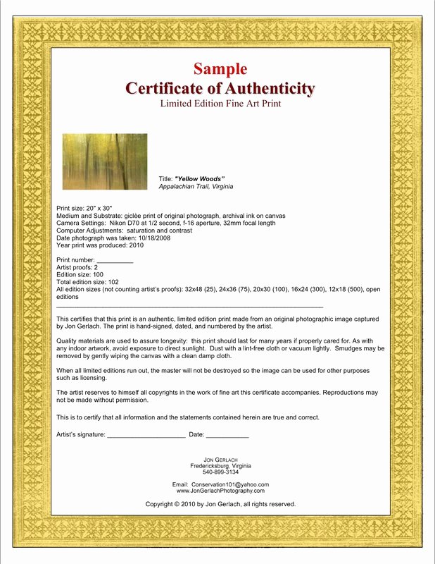 Art Certificate Of Authenticity Template Fresh Certificates Of Authenticity for Artists