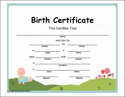 Baby Birth Certificate Template Best Of A Whimsical Birth Certificate with A Colorful Illustration