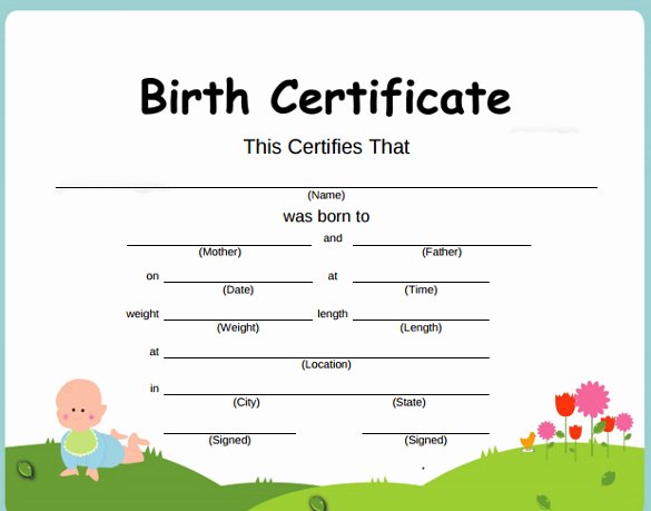 Baby Birth Certificate Template Elegant Birth Certificate Templates