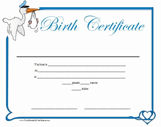 Baby Birth Certificate Template Inspirational A Cute Birth Certificate Bordered In Blue with A Full