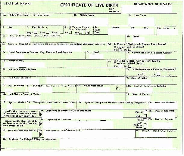 Baby Death Certificate Template Awesome Real Birth Certificates In Hawaii In 1961 there Were