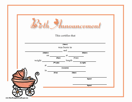 Baby Death Certificate Template Fresh This Birth Announcement for A Baby Girl Has Lots Of Room
