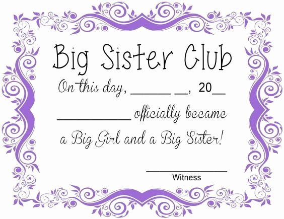 Best Brother Award Certificate Inspirational Best 25 Big Sister Kit Ideas On Pinterest