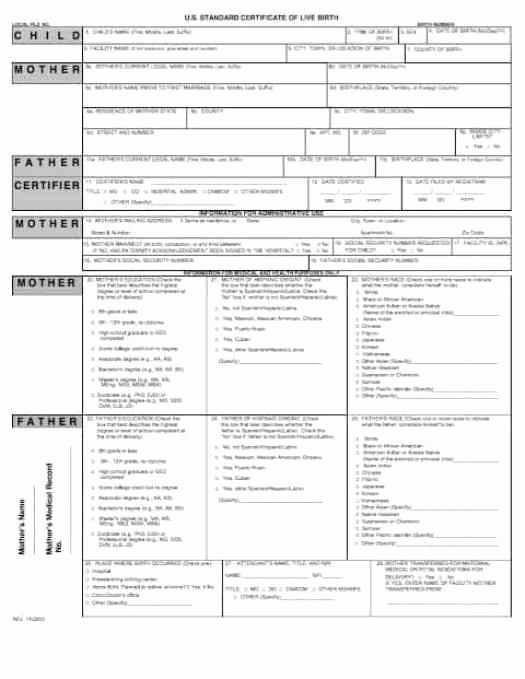 Birth Certificate Template Doc Beautiful 21 Free Birth Certificate Template Word Excel formats