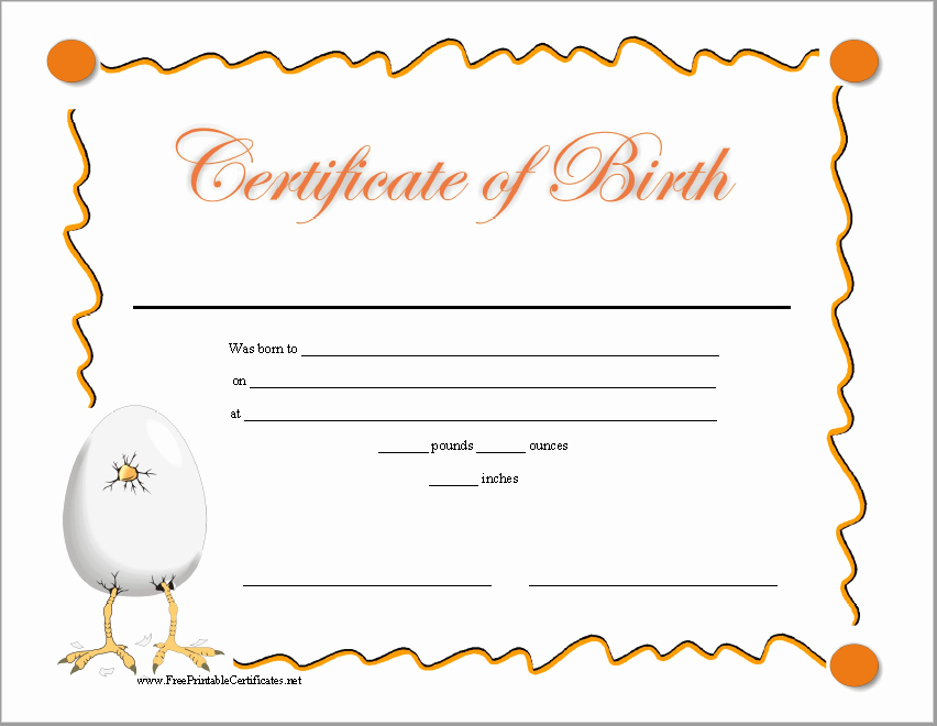 Birth Certificate Template Doc Lovely 14 Free Birth Certificate Templates In Ms Word &amp; Pdf