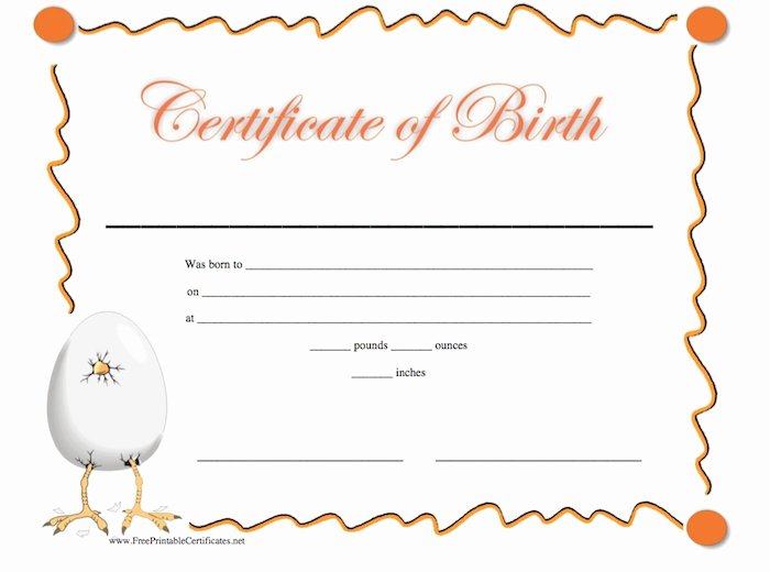 Birth Certificate Template for Microsoft Word Fresh Free Birth Certificate Template for Word Exfree