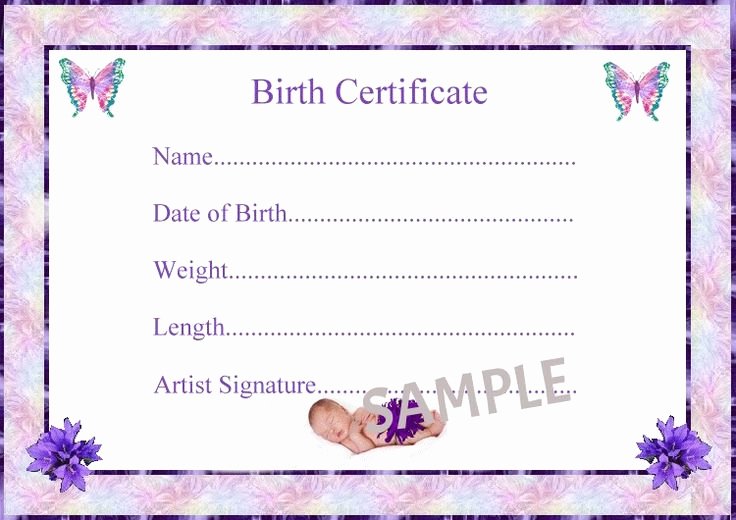 Birth Certificate Template Google Docs Lovely Birth Certificate Graphic Templates Baby Boy Google