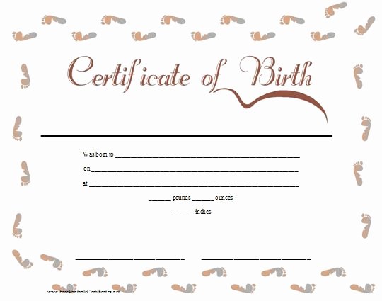 Birth Certificate Template with Footprints Best Of A Pink and Blue Printable Birth Certificate Bordered In