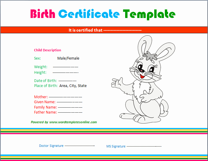 Birth Certificate Template Word Awesome Birth Certificate Template Microsoft Word Templates