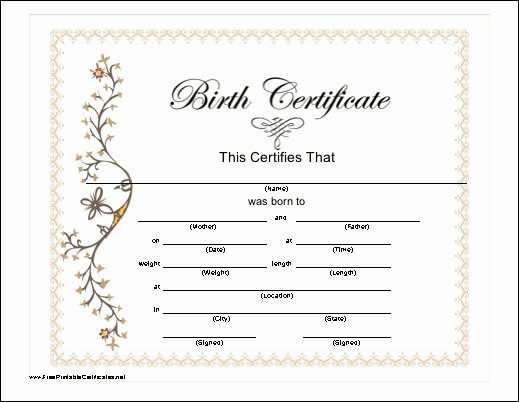 Blank Birth Certificate for School Project New Pin by Becky Crossett On Baby Memory Book