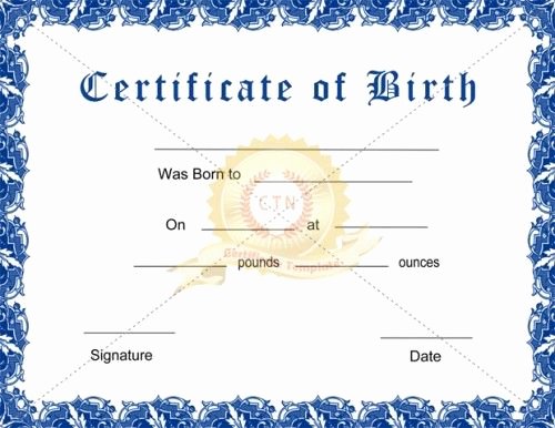 Blank Birth Certificate Pdf Lovely Download Free or Premium Version No Registrations