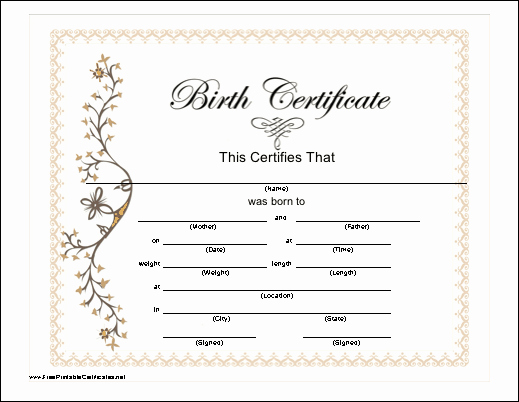 Blank Birth Certificate Template Beautiful Birth Certificate Template
