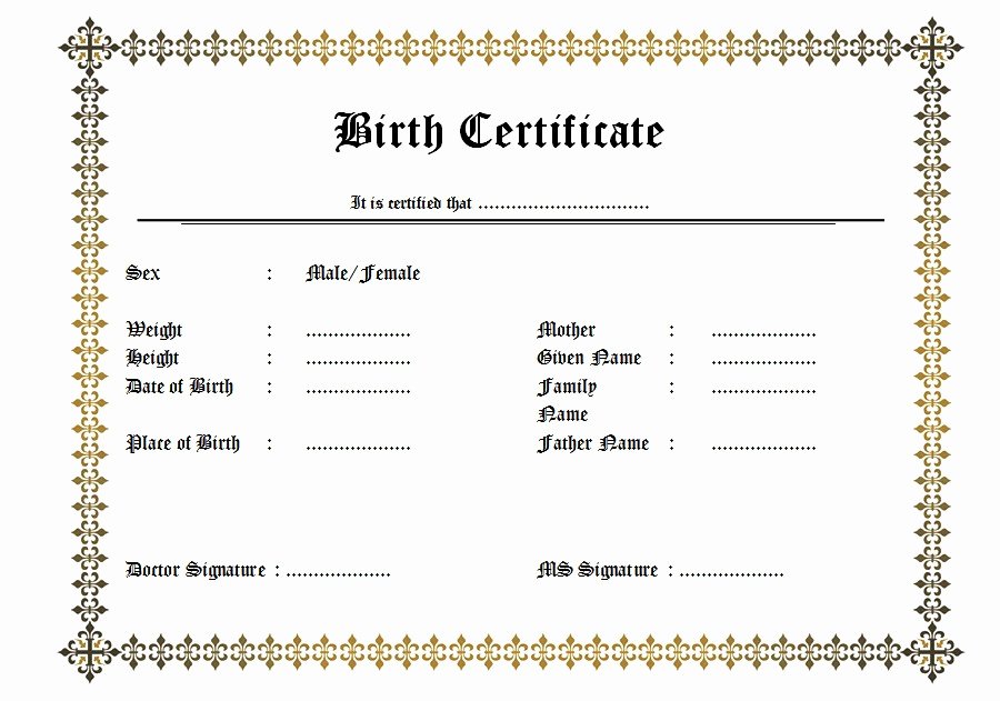 Blank Birth Certificate Template Elegant Fillable Birth Certificate Template Free [10 Various Designs]