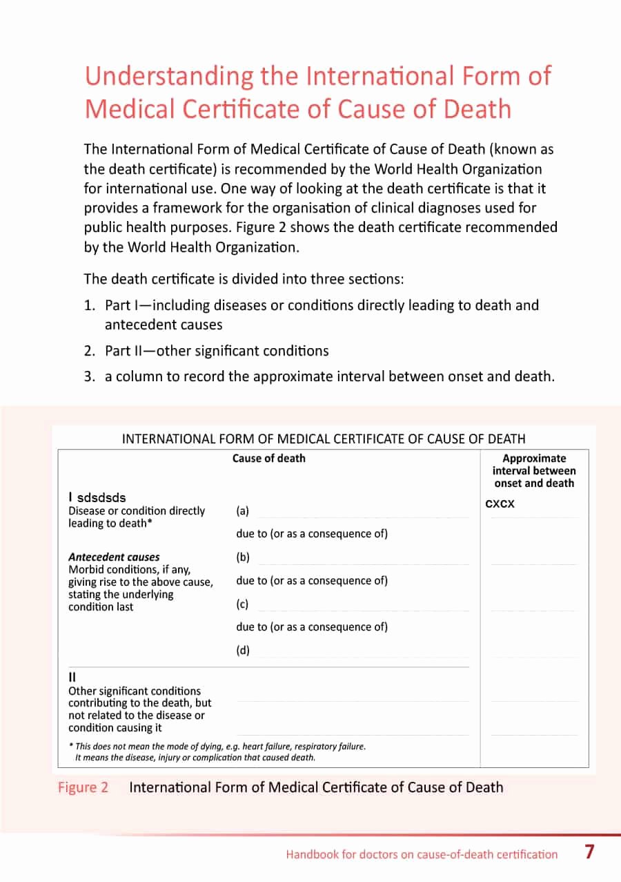 Blank Death Certificate Template Fresh 37 Blank Death Certificate Templates [ Free]