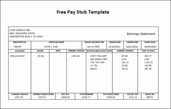 Blank Pay Check Awesome Pay Stub Template