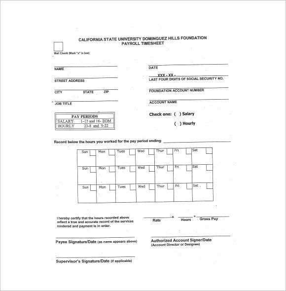 Blank Timesheet form Lovely Free 10 Blank Timesheet Templates In Free Sample Example