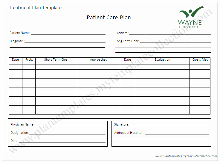 Blank Treatment Plan Template Best Of Treatment Plan Template