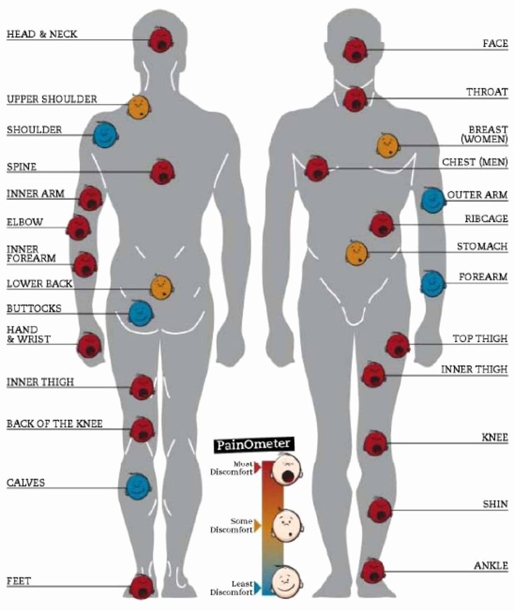 Body Piercing Pain Chart Best Of Most Of the Placements I Want Have the Highest Pain Level
