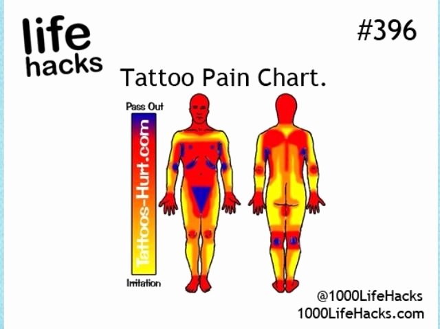 Body Piercing Pain Chart New the 25 Best Tattoo Pain Chart Ideas On Pinterest