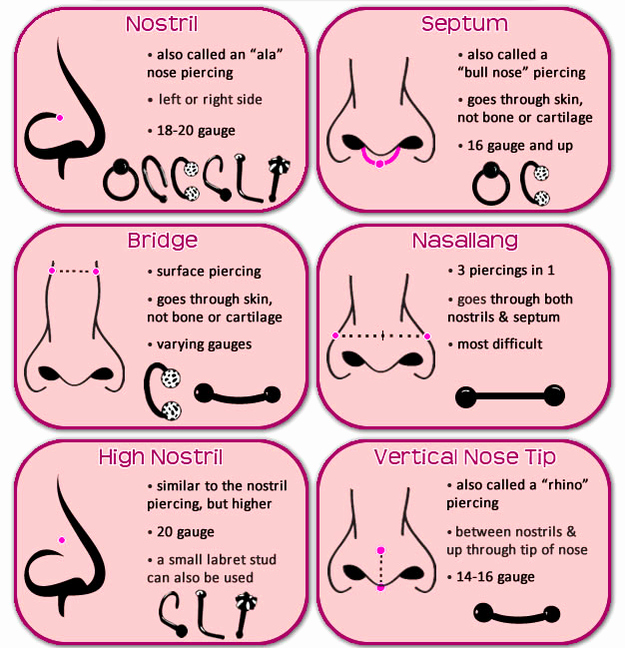 Body Piercing Pain Scale Beautiful Piercing Charts to Help Save You From Painful Regrets