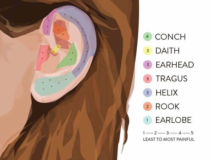 Body Piercing Pain Scale Elegant 25 Beautiful Ear Piercing Guide Ideas On Pinterest
