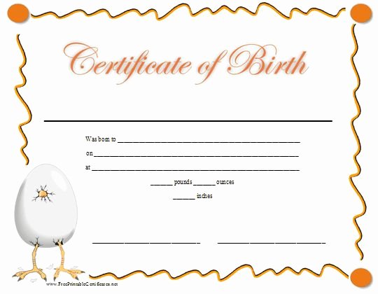 Build A Bear Birth Certificate Pdf Best Of Birth Certificate Births and Baby Chicks On Pinterest