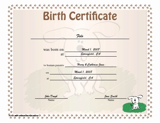 Build A Bear Birth Certificate Template Blank Elegant A Dog Birth Certificate for A Puppy or Little Of Puppies