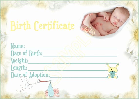 Build A Bear Birth Certificate Template Blank Elegant New Arrival Reborn Baby Doll Birth Certificate Instant