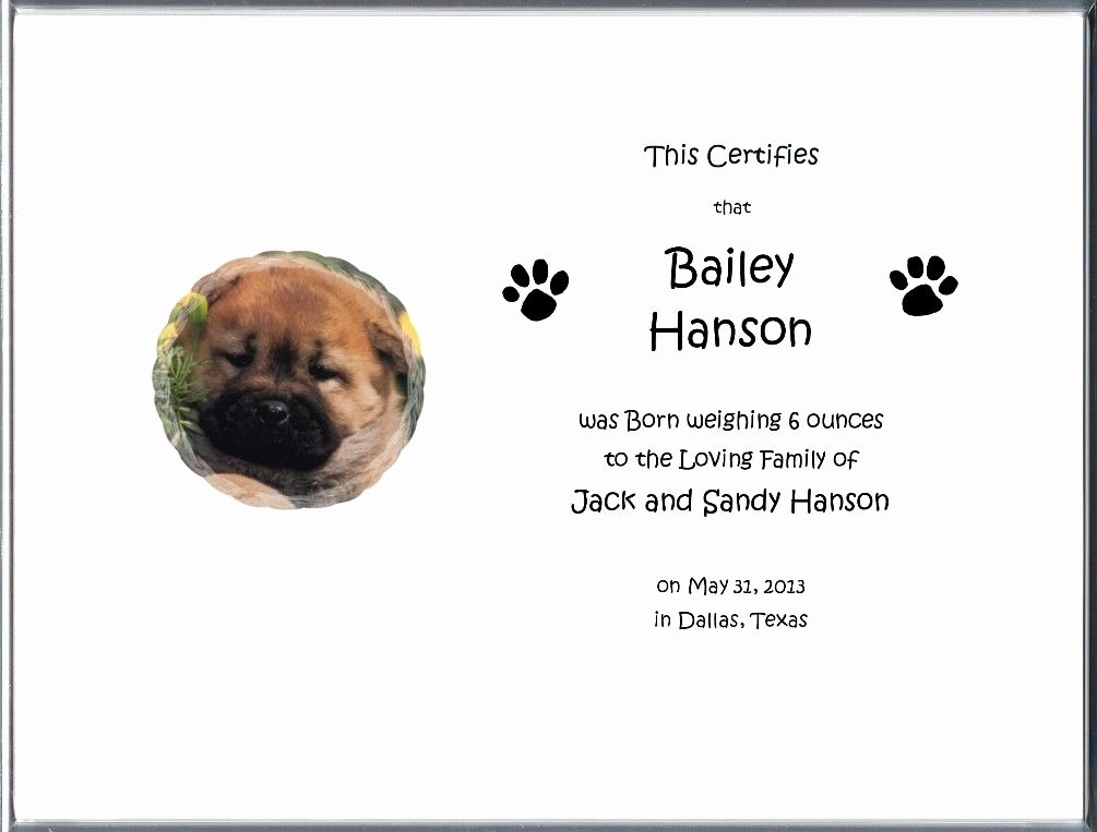 Build A Bear Birth Certificate Template Blank Lovely Dog Birth Certificate