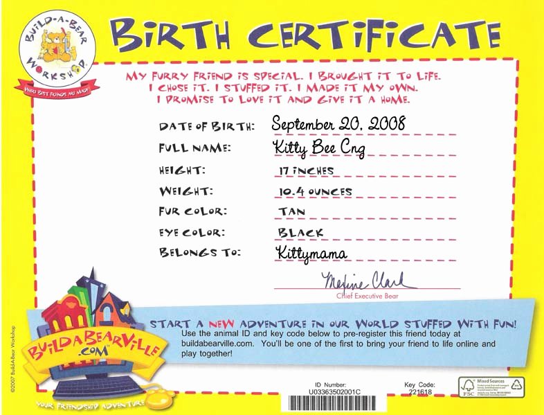 Build A Bear Certificate Template Awesome Kitty Kitty Bo Bitty