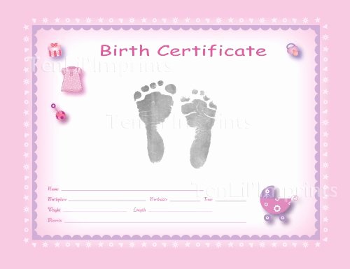 Build A Bear Certificate Template Lovely Birth Certificate Blank Printable
