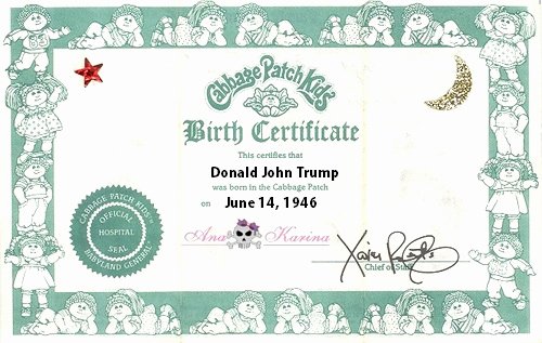 Cabbage Patch Birth Certificate Template Inspirational Certificate Of Live Birth Donald Trump