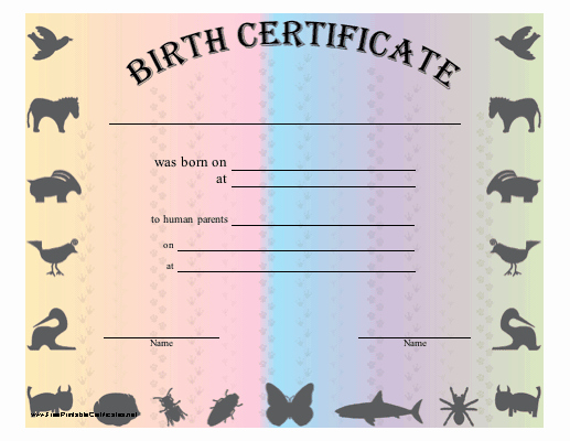 Cabbage Patch Birth Certificate Template Inspirational This Birth Certificate Recognizes the Adoption Of An