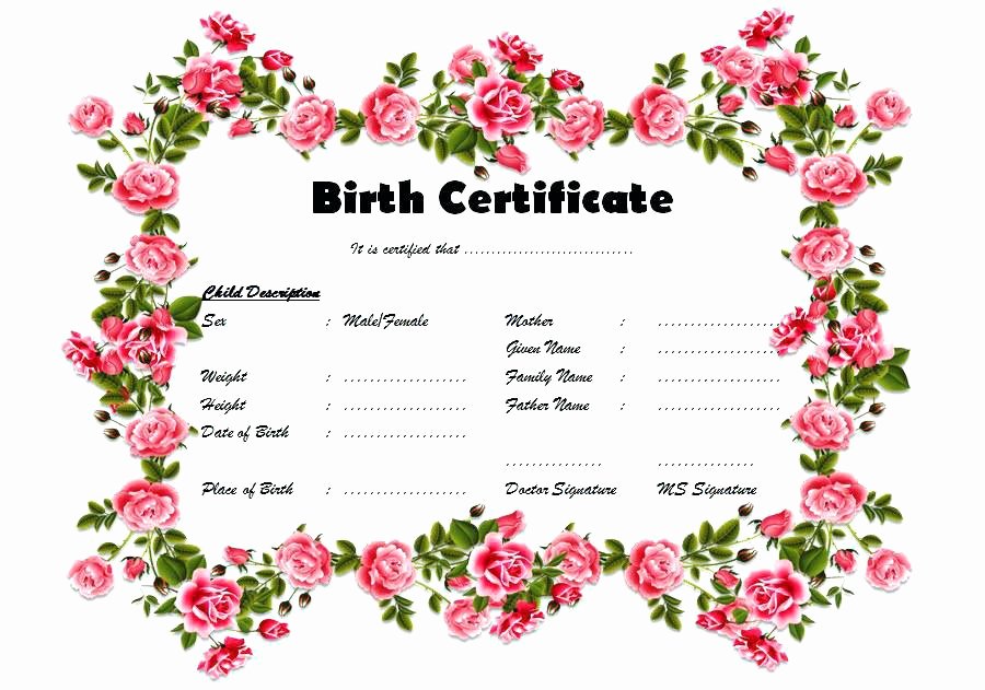 Cabbage Patch Doll Birth Certificate Template Best Of Doll Birth Certificate Template – Ahegao