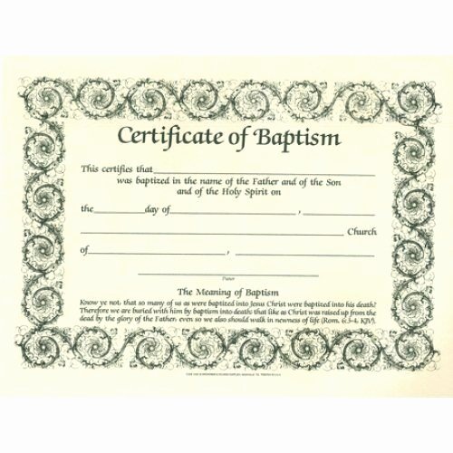 Cabbage Patch Kid Birth Certificate Template Beautiful Baptism Certificates Parchment 6