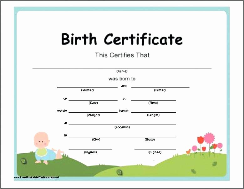 Cabbage Patch Kid Birth Certificate Template New Doll Birth Certificate Template – Ahegao