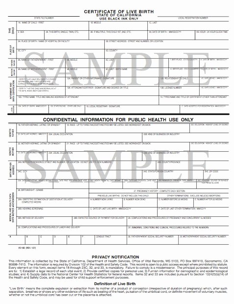 California Birth Certificate Template Elegant 15 Birth Certificate Templates Word &amp; Pdf Template Lab