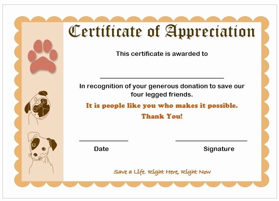 Certificate Of Appreciation for Donation Template Lovely 29 Of Certificate Appreciation for Donation