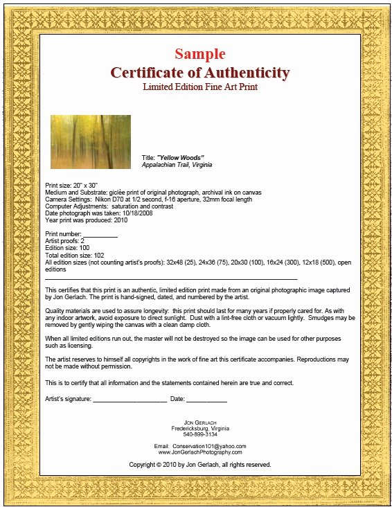 Certificate Of Authenticity Art Template Lovely 7 Free Sample Authenticity Certificate Templates